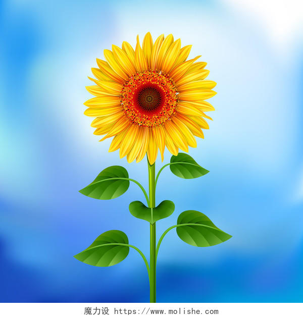 蓝色背景上的黄色向日葵希望